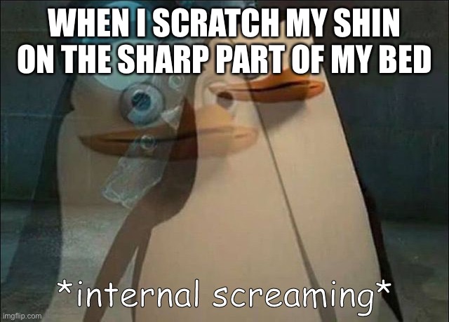 Private Internal Screaming | WHEN I SCRATCH MY SHIN ON THE SHARP PART OF MY BED | image tagged in private internal screaming | made w/ Imgflip meme maker