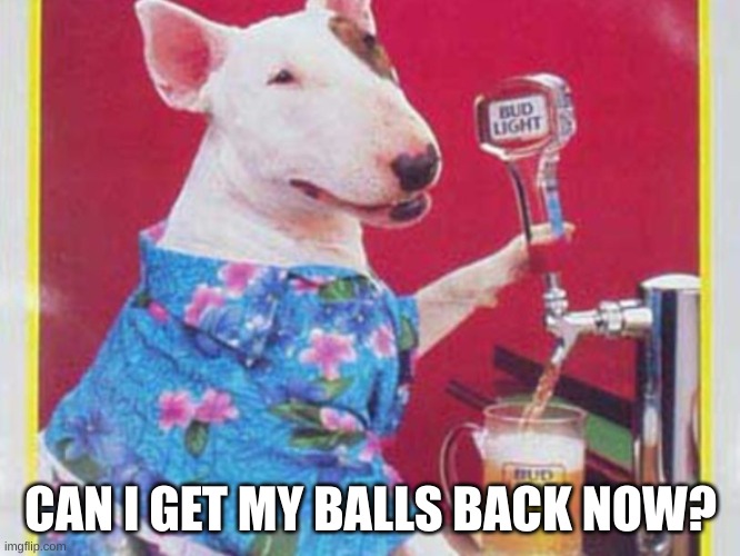 balls | CAN I GET MY BALLS BACK NOW? | image tagged in spuds mackenzie | made w/ Imgflip meme maker