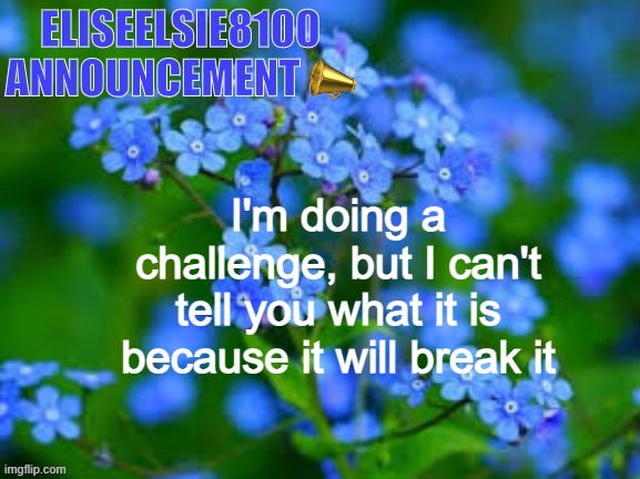 EliseElsie8100 Announcement | I'm doing a challenge, but I can't tell you what it is because it will break it | image tagged in eliseelsie8100 announcement | made w/ Imgflip meme maker