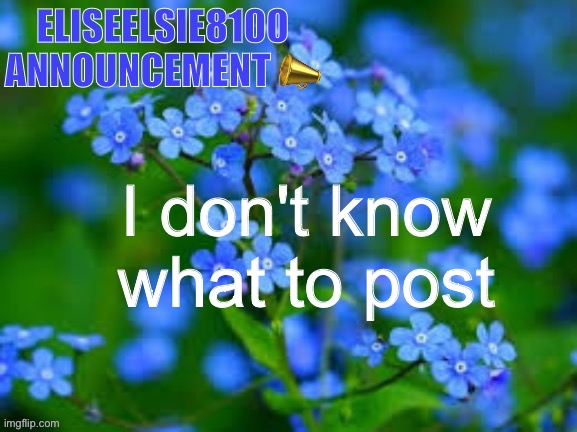 EliseElsie8100 Announcement | I don't know what to post | image tagged in eliseelsie8100 announcement | made w/ Imgflip meme maker