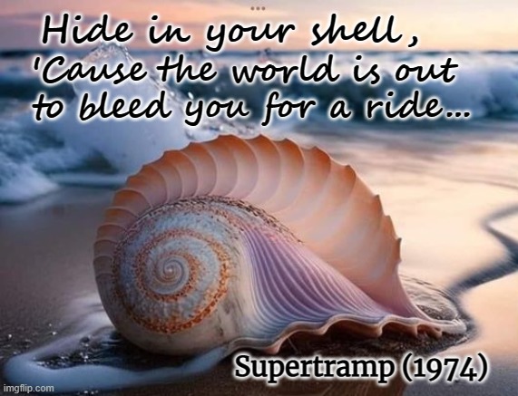 Supertramp (1974) | Hide in your shell, 'Cause the world is out to bleed you for a ride... Supertramp (1974) | image tagged in supertramp,classic rock | made w/ Imgflip meme maker