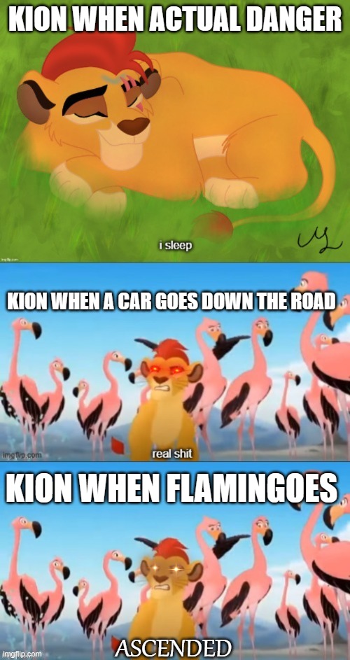 Sleeping Kion I sleep real shit ASCENDED | KION WHEN ACTUAL DANGER; KION WHEN A CAR GOES DOWN THE ROAD; KION WHEN FLAMINGOES | image tagged in sleeping kion i sleep real shit ascended | made w/ Imgflip meme maker