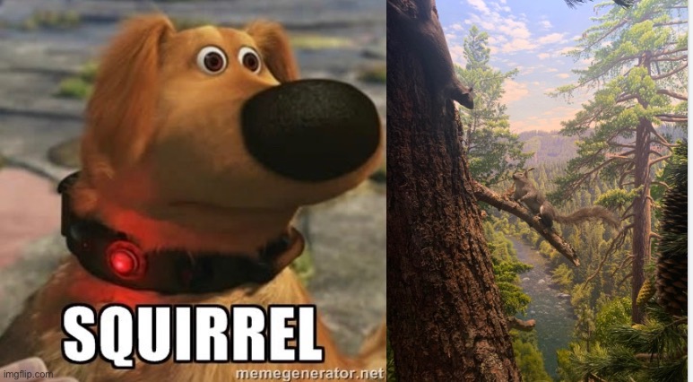 SQUIRREL! | image tagged in squirrel,dugs | made w/ Imgflip meme maker