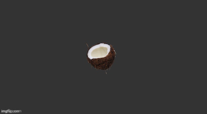 coconut has breached containment | made w/ Imgflip meme maker