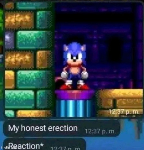 sonic my honest reaction | image tagged in sonic my honest reaction | made w/ Imgflip meme maker
