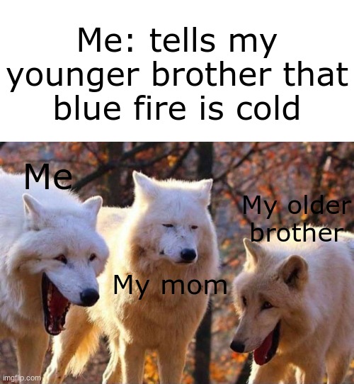 And NO, this is not a repost. | Me: tells my younger brother that blue fire is cold; Me; My older brother; My mom | image tagged in laughing wolf,memes,funny,brothers | made w/ Imgflip meme maker