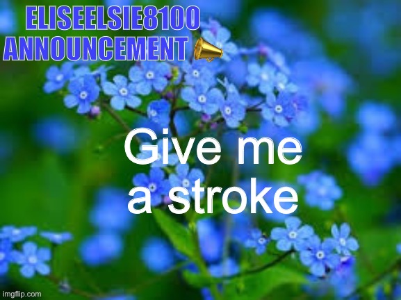 EliseElsie8100 Announcement | Give me a stroke | image tagged in eliseelsie8100 announcement | made w/ Imgflip meme maker