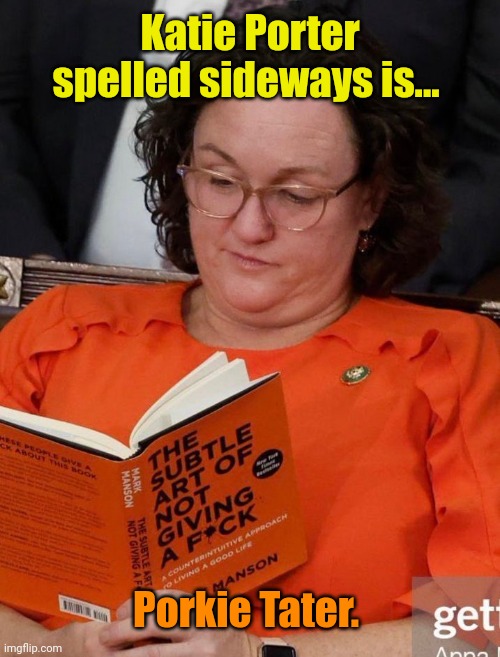 Coincidence? I think not. | Katie Porter spelled sideways is... Porkie Tater. | made w/ Imgflip meme maker