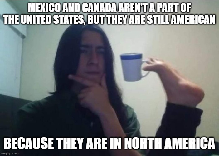 MEXICO AND CANADA AREN'T A PART OF THE UNITED STATES, BUT THEY ARE STILL AMERICAN BECAUSE THEY ARE IN NORTH AMERICA | image tagged in stupid thinker | made w/ Imgflip meme maker