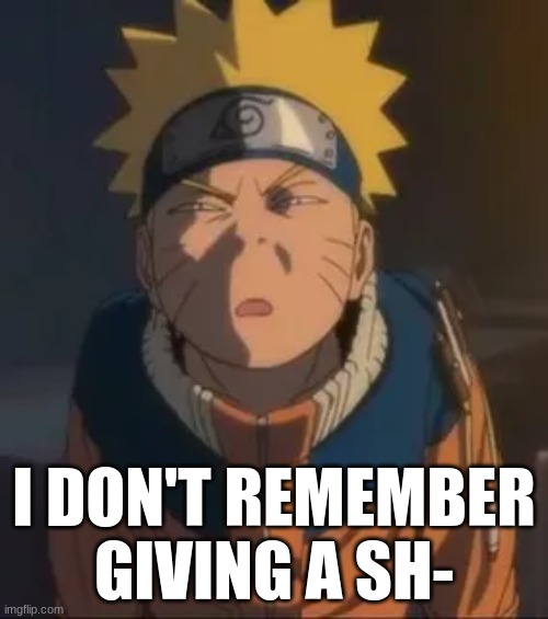 lol | I DON'T REMEMBER GIVING A SH- | image tagged in naruto | made w/ Imgflip meme maker