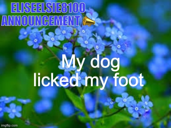 EliseElsie8100 Announcement | My dog licked my foot | image tagged in eliseelsie8100 announcement | made w/ Imgflip meme maker