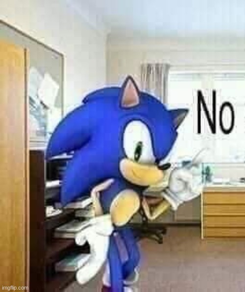 sonic no | image tagged in sonic no | made w/ Imgflip meme maker