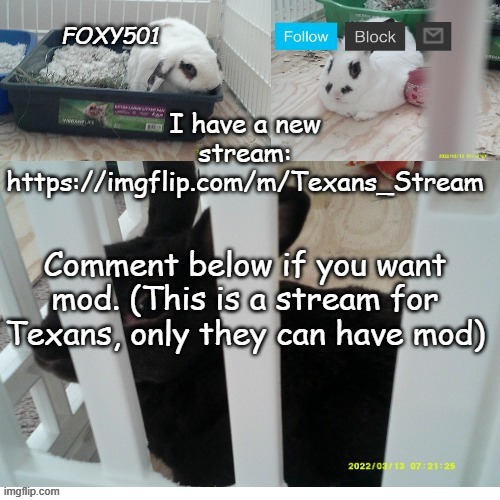 Foxy501 announcement template | I have a new stream: https://imgflip.com/m/Texans_Stream; Comment below if you want mod. (This is a stream for Texans, only they can have mod) | image tagged in foxy501 announcement template | made w/ Imgflip meme maker