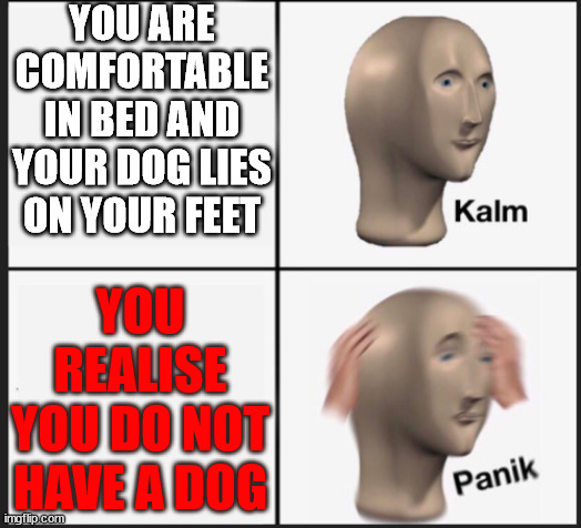PANIK! | YOU ARE COMFORTABLE IN BED AND YOUR DOG LIES ON YOUR FEET; YOU REALISE YOU DO NOT HAVE A DOG | image tagged in calm panic | made w/ Imgflip meme maker