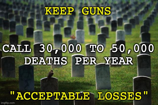 graveyard cemetary | CALL 30,000 TO 50,000
DEATHS PER YEAR "ACCEPTABLE LOSSES" KEEP GUNS | image tagged in graveyard cemetary | made w/ Imgflip meme maker