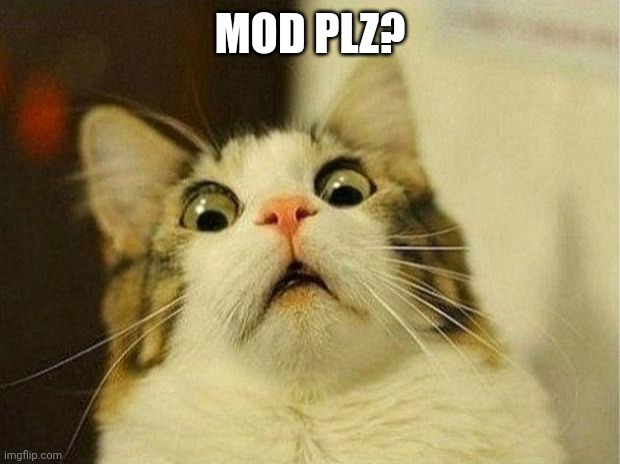 Scared Cat | MOD PLZ? | image tagged in memes,scared cat | made w/ Imgflip meme maker