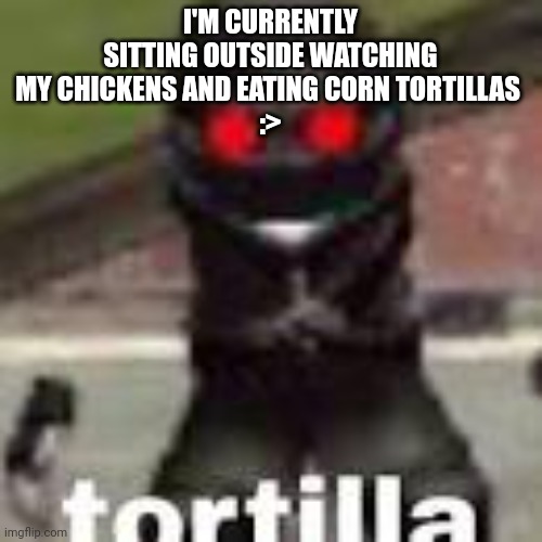 Tortillas | I'M CURRENTLY SITTING OUTSIDE WATCHING MY CHICKENS AND EATING CORN TORTILLAS 
:> | image tagged in tortilla | made w/ Imgflip meme maker