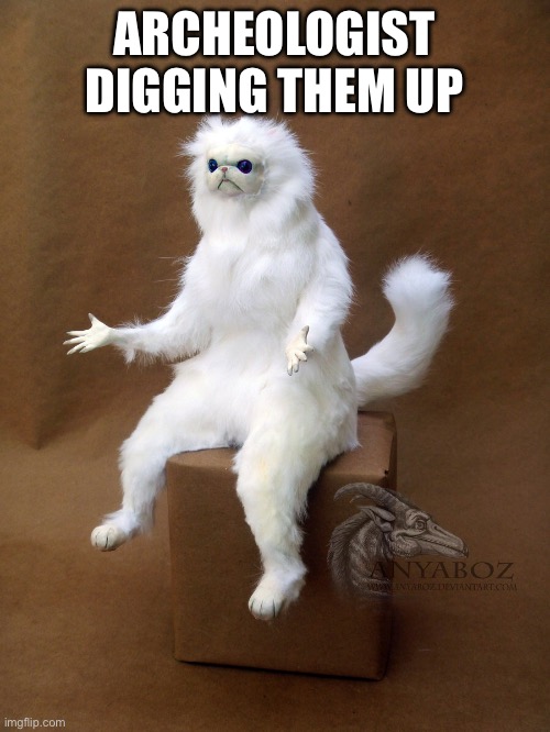 Persian Cat Room Guardian Single Meme | ARCHEOLOGIST DIGGING THEM UP | image tagged in memes,persian cat room guardian single | made w/ Imgflip meme maker