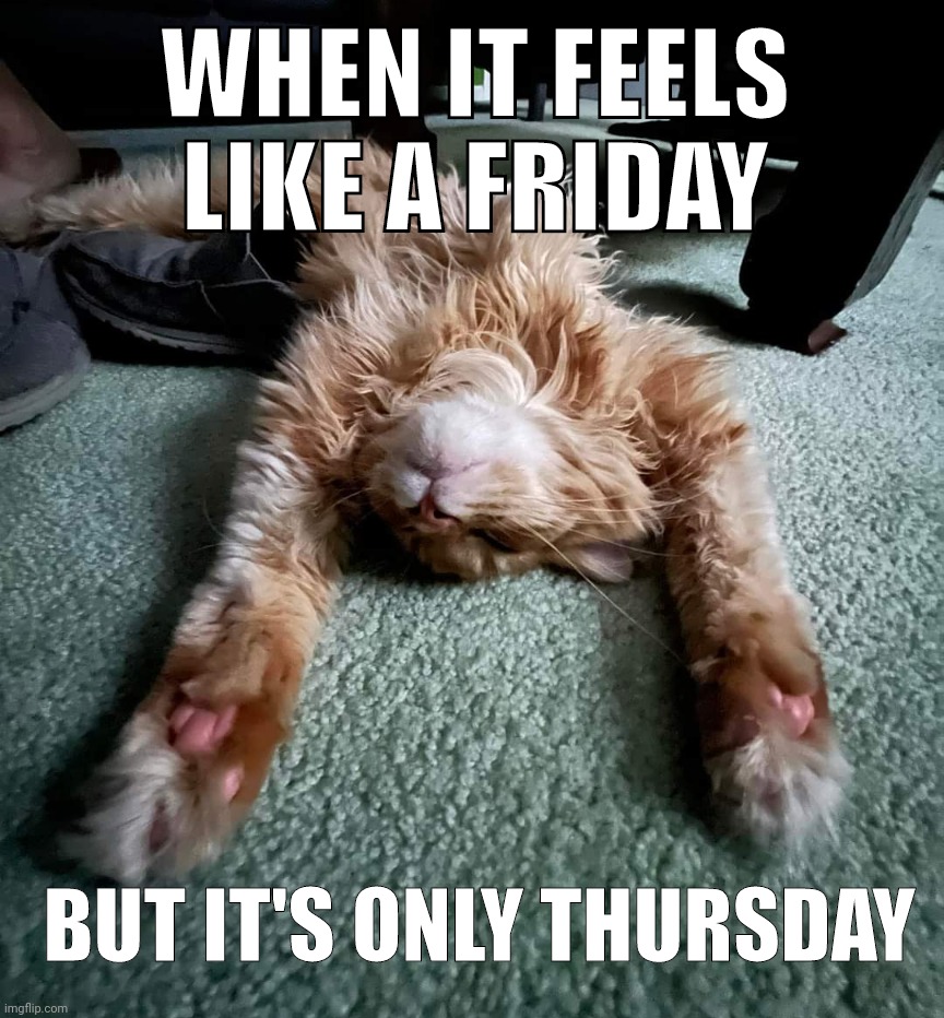 When it feels like Friday but it's only Thursday | WHEN IT FEELS LIKE A FRIDAY; BUT IT'S ONLY THURSDAY | image tagged in cats,cute cat,cat,funny,funny cat memes,memes | made w/ Imgflip meme maker