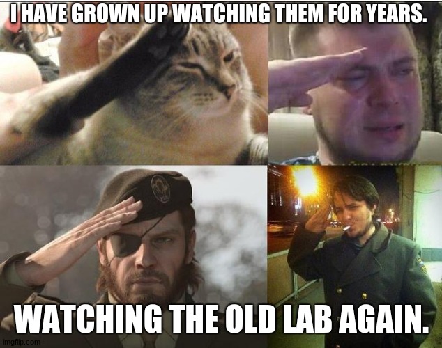 Ozon's Salute | I HAVE GROWN UP WATCHING THEM FOR YEARS. WATCHING THE OLD LAB AGAIN. | image tagged in ozon's salute | made w/ Imgflip meme maker