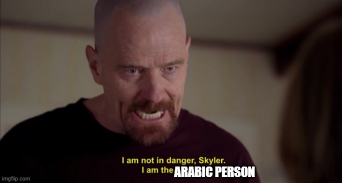 i am not in danger skyler i am the danger | ARABIC PERSON | image tagged in i am not in danger skyler i am the danger | made w/ Imgflip meme maker