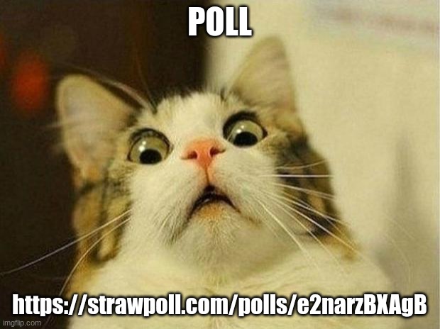 https://strawpoll.com/polls/e2narzBXAgB | POLL; https://strawpoll.com/polls/e2narzBXAgB | image tagged in memes,scared cat | made w/ Imgflip meme maker