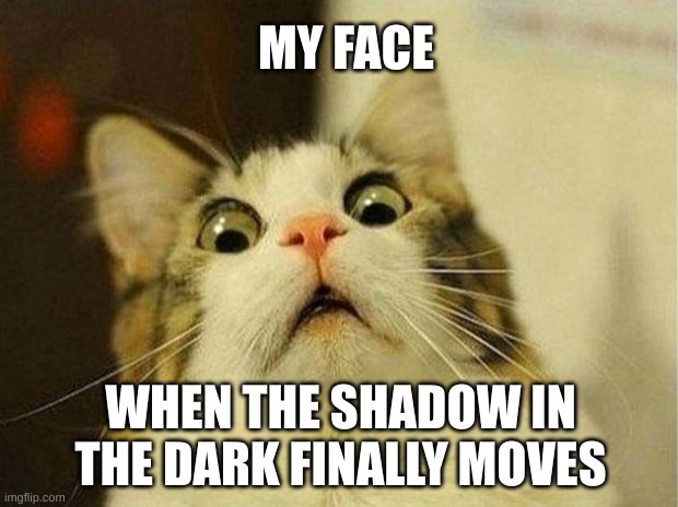 Do you see them too? | MY FACE; WHEN THE SHADOW IN THE DARK FINALLY MOVES | image tagged in memes,scared cat | made w/ Imgflip meme maker