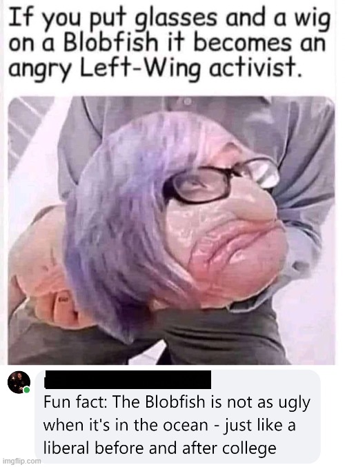 From Liberal to Progressive | image tagged in meme comments,funny,politics lol | made w/ Imgflip meme maker