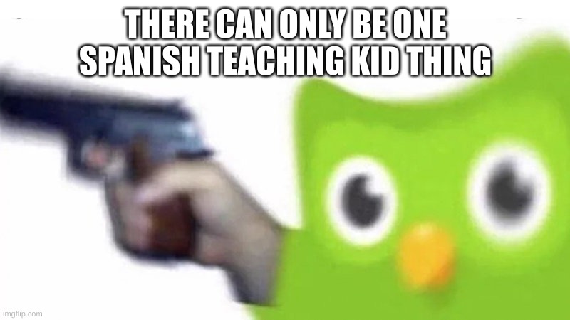 duolingo gun | THERE CAN ONLY BE ONE SPANISH TEACHING KID THING | image tagged in duolingo gun | made w/ Imgflip meme maker