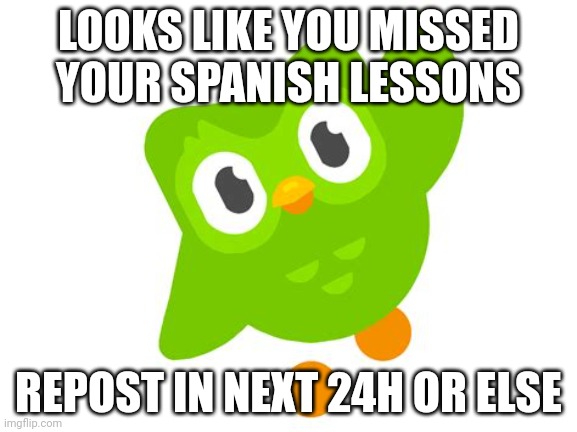 Duolingo Bird | LOOKS LIKE YOU MISSED YOUR SPANISH LESSONS REPOST IN NEXT 24H OR ELSE | image tagged in duolingo bird | made w/ Imgflip meme maker