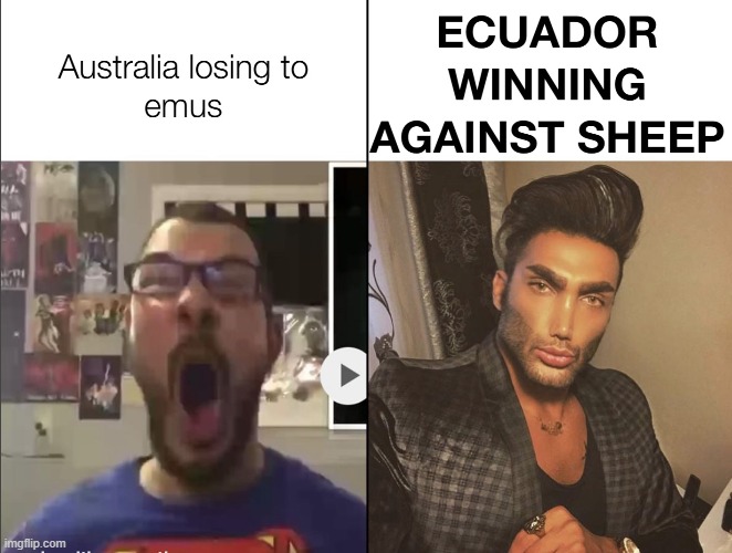 image tagged in memes | made w/ Imgflip meme maker