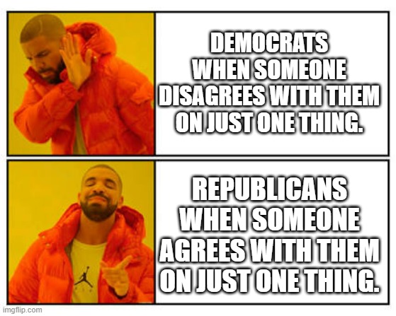 No - Yes | DEMOCRATS WHEN SOMEONE DISAGREES WITH THEM ON JUST ONE THING. REPUBLICANS WHEN SOMEONE AGREES WITH THEM ON JUST ONE THING. | image tagged in no - yes | made w/ Imgflip meme maker