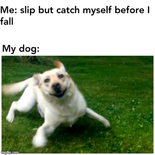 image tagged in memes | made w/ Imgflip meme maker