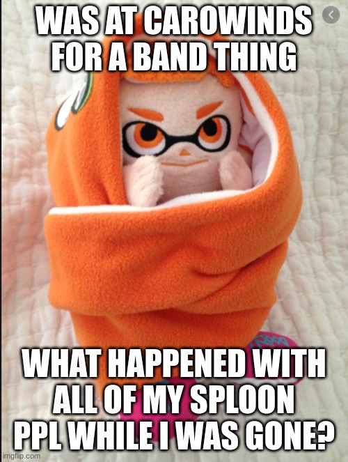 What happened when I was gone | WAS AT CAROWINDS FOR A BAND THING; WHAT HAPPENED WITH ALL OF MY SPLOON PPL WHILE I WAS GONE? | image tagged in woomy in a blanket | made w/ Imgflip meme maker