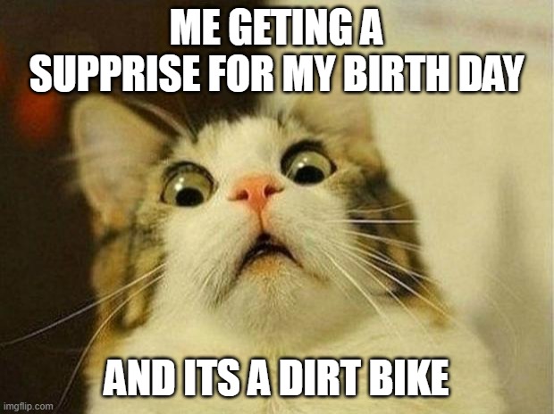 cats | ME GETING A SUPPRISE FOR MY BIRTH DAY; AND ITS A DIRT BIKE | image tagged in memes,scared cat | made w/ Imgflip meme maker