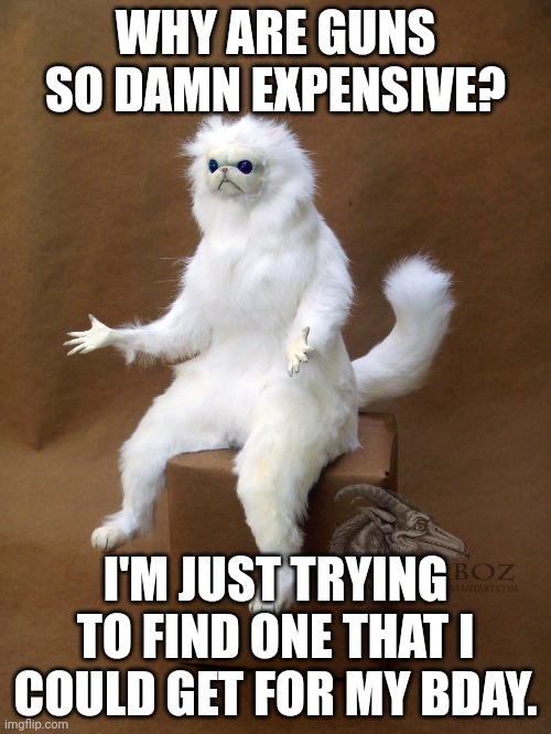 i want a tavor or hellion, however they cost around $1,000 | WHY ARE GUNS SO DAMN EXPENSIVE? I'M JUST TRYING TO FIND ONE THAT I COULD GET FOR MY BDAY. | image tagged in memes,persian cat room guardian single | made w/ Imgflip meme maker