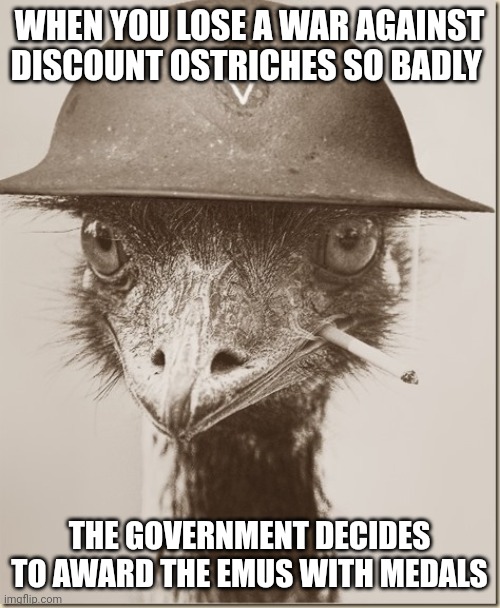 Those bloody birds deserve medals! | WHEN YOU LOSE A WAR AGAINST DISCOUNT OSTRICHES SO BADLY; THE GOVERNMENT DECIDES TO AWARD THE EMUS WITH MEDALS | image tagged in war emu | made w/ Imgflip meme maker