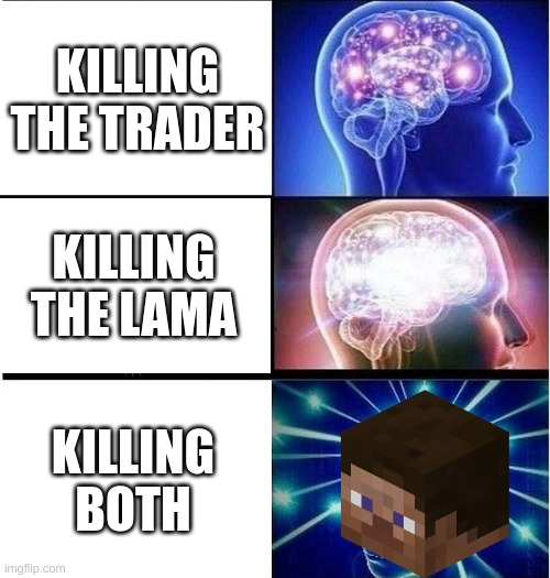 I saw a post like this online lol | KILLING THE TRADER; KILLING THE LAMA; KILLING BOTH | image tagged in expanding brain 3 panels,wandering trader | made w/ Imgflip meme maker