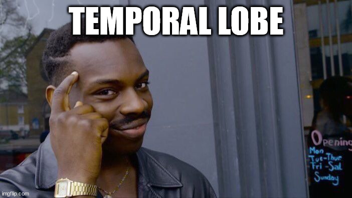 Roll Safe Think About It Meme | TEMPORAL LOBE | image tagged in memes,roll safe think about it | made w/ Imgflip meme maker