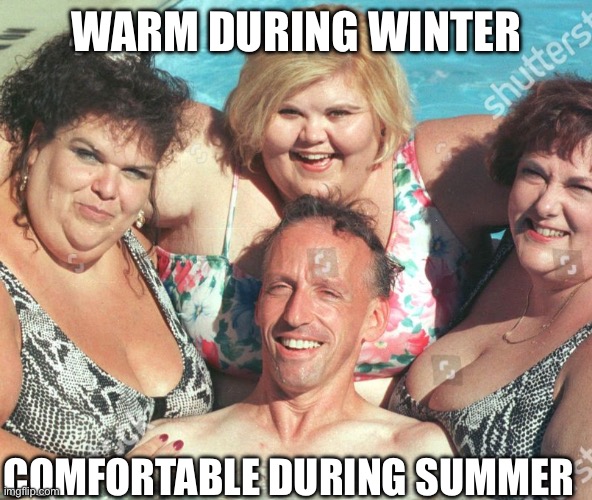 Smart guy | WARM DURING WINTER; COMFORTABLE DURING SUMMER | image tagged in bbw | made w/ Imgflip meme maker