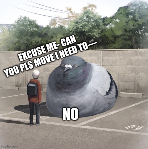 Beeg Birb | EXCUSE ME- CAN YOU PLS MOVE I NEED TO—; NO | image tagged in beeg birb | made w/ Imgflip meme maker