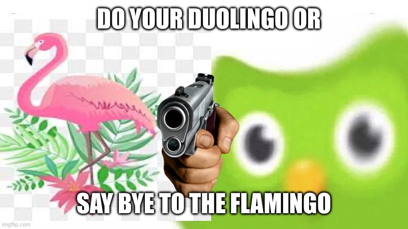 DO YOUR DUOLINGO OR; SAY BYE TO THE FLAMINGO | made w/ Imgflip meme maker