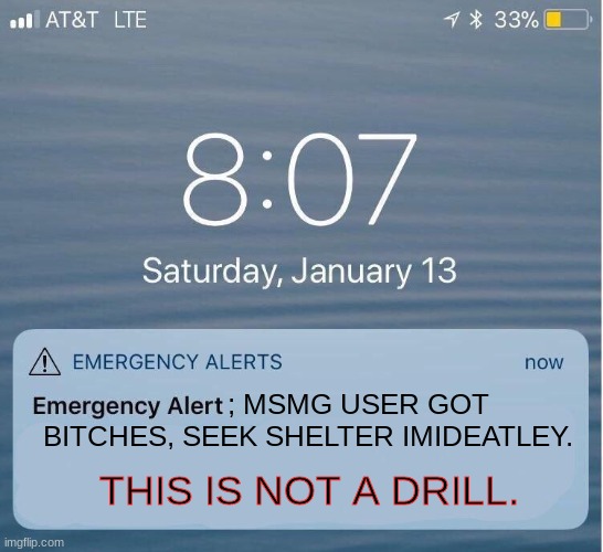 This is worse than Arkuum. | ; MSMG USER GOT BITCHES, SEEK SHELTER IMIDEATLEY. THIS IS NOT A DRILL. | image tagged in eas iphone alert | made w/ Imgflip meme maker