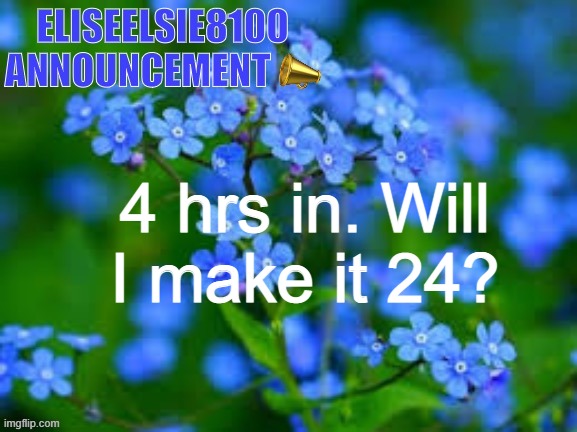 EliseElsie8100 Announcement | 4 hrs in. Will I make it 24? | image tagged in eliseelsie8100 announcement | made w/ Imgflip meme maker