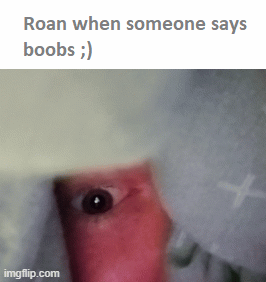 ROAN 2 | image tagged in gifs,funny | made w/ Imgflip images-to-gif maker