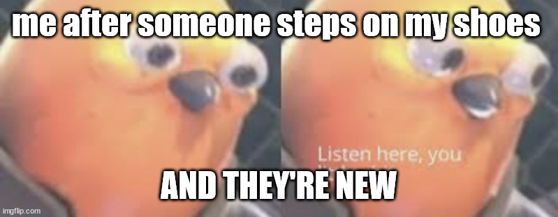 freaking new | me after someone steps on my shoes; AND THEY'RE NEW | image tagged in listen here you little shit bird | made w/ Imgflip meme maker