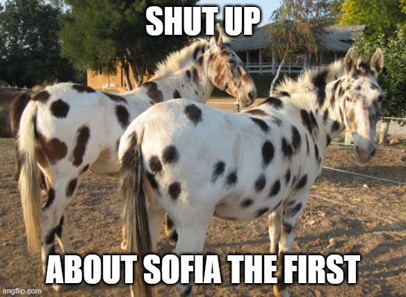 SPOTTED DONKEYS | SHUT UP; ABOUT SOFIA THE FIRST | image tagged in spotted donkeys,sofia the first | made w/ Imgflip meme maker