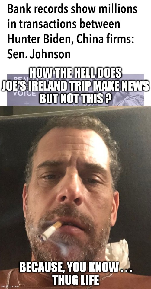 Leftist Life and Entitlement | HOW THE HELL DOES JOE'S IRELAND TRIP MAKE NEWS
BUT NOT THIS ? BECAUSE, YOU KNOW . . .
THUG LIFE | image tagged in hunter biden,joe,liberals,china,democrats | made w/ Imgflip meme maker