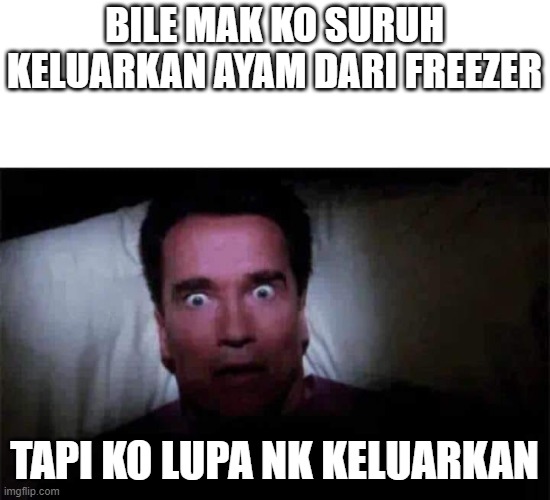 dh nak raya | BILE MAK KO SURUH KELUARKAN AYAM DARI FREEZER; TAPI KO LUPA NK KELUARKAN | image tagged in funny | made w/ Imgflip meme maker