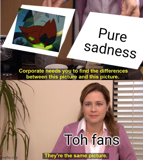 They're The Same Picture Meme | Pure sadness; Toh fans | image tagged in memes,they're the same picture | made w/ Imgflip meme maker